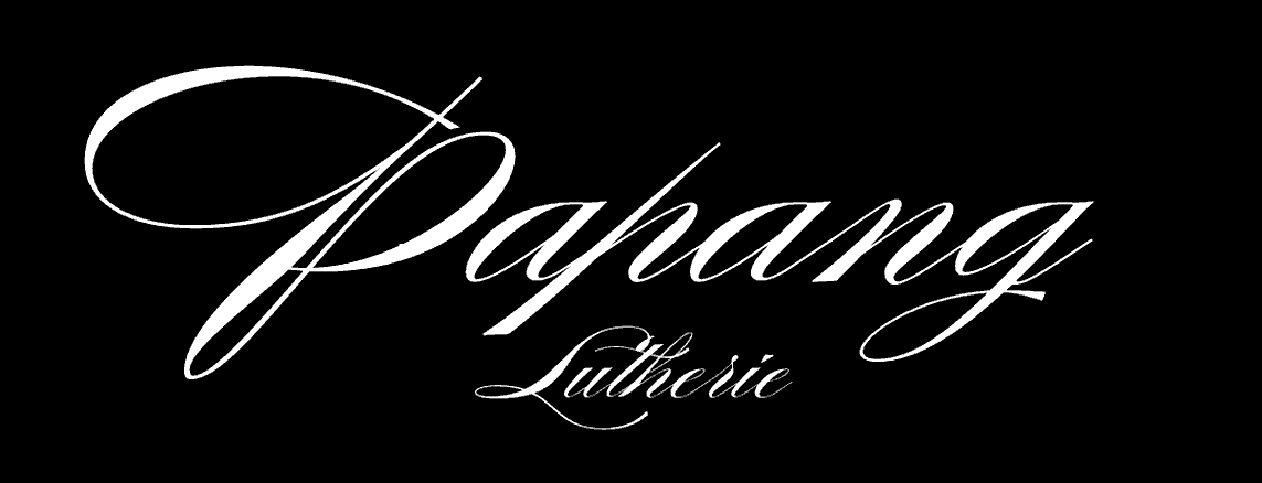 guitare , basse , luthier