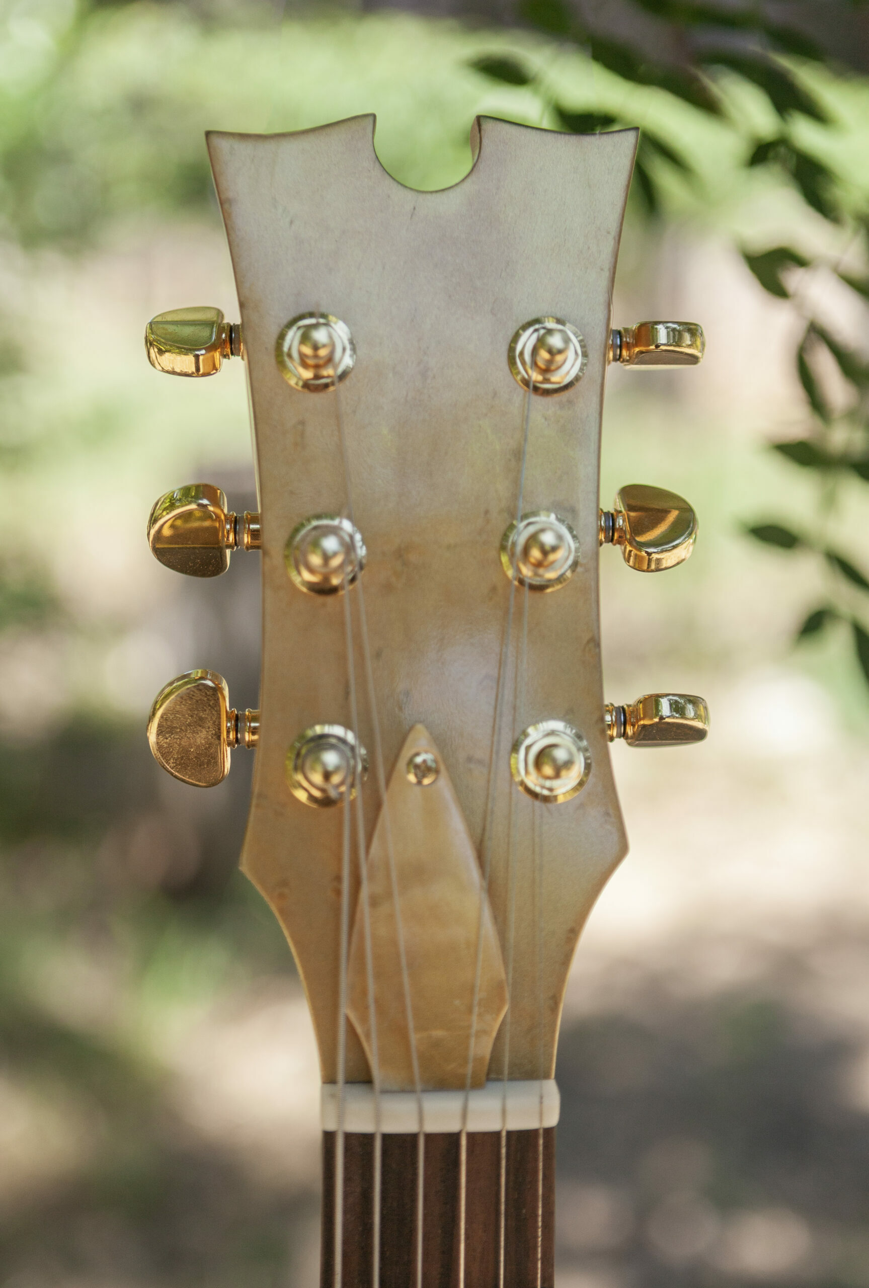 guitare de luthier , lutherie hérault , vente intruments de musique